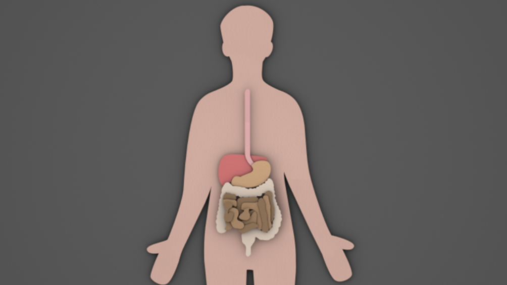 Υπερηχοτομογραφία γαστρεντερικού συστήματος