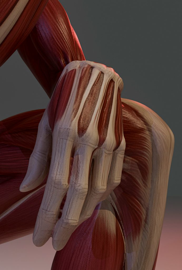 Musculoskeletal Ultrasound in Sports Medicine and Degenerative Diseases