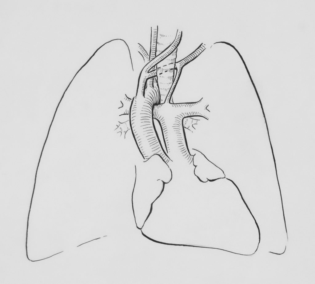 Chest Ultrasound – Τransthoracic